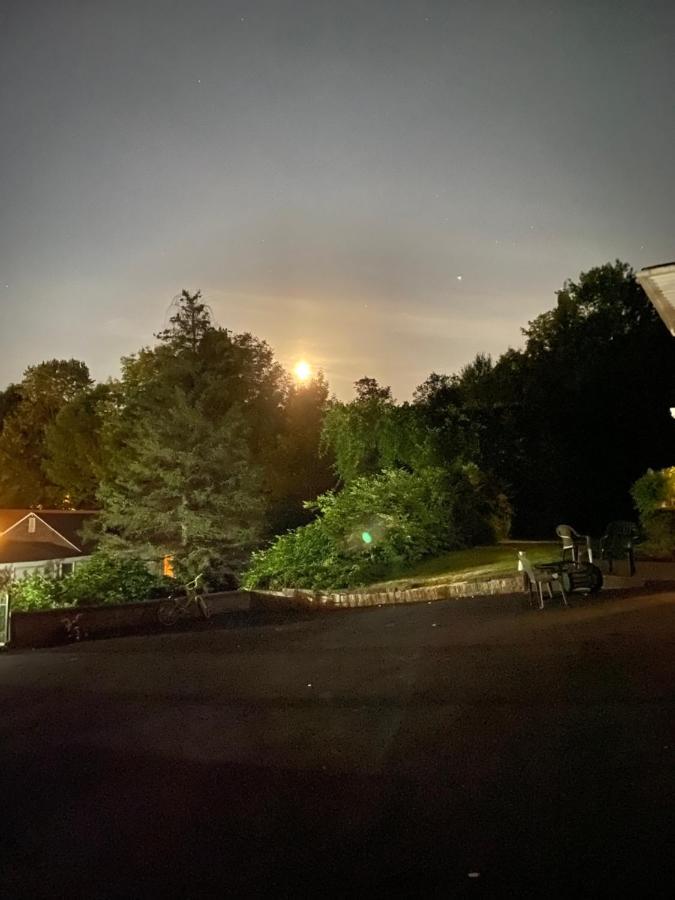 Fran Cove Motel Лейк-Джордж Екстер'єр фото