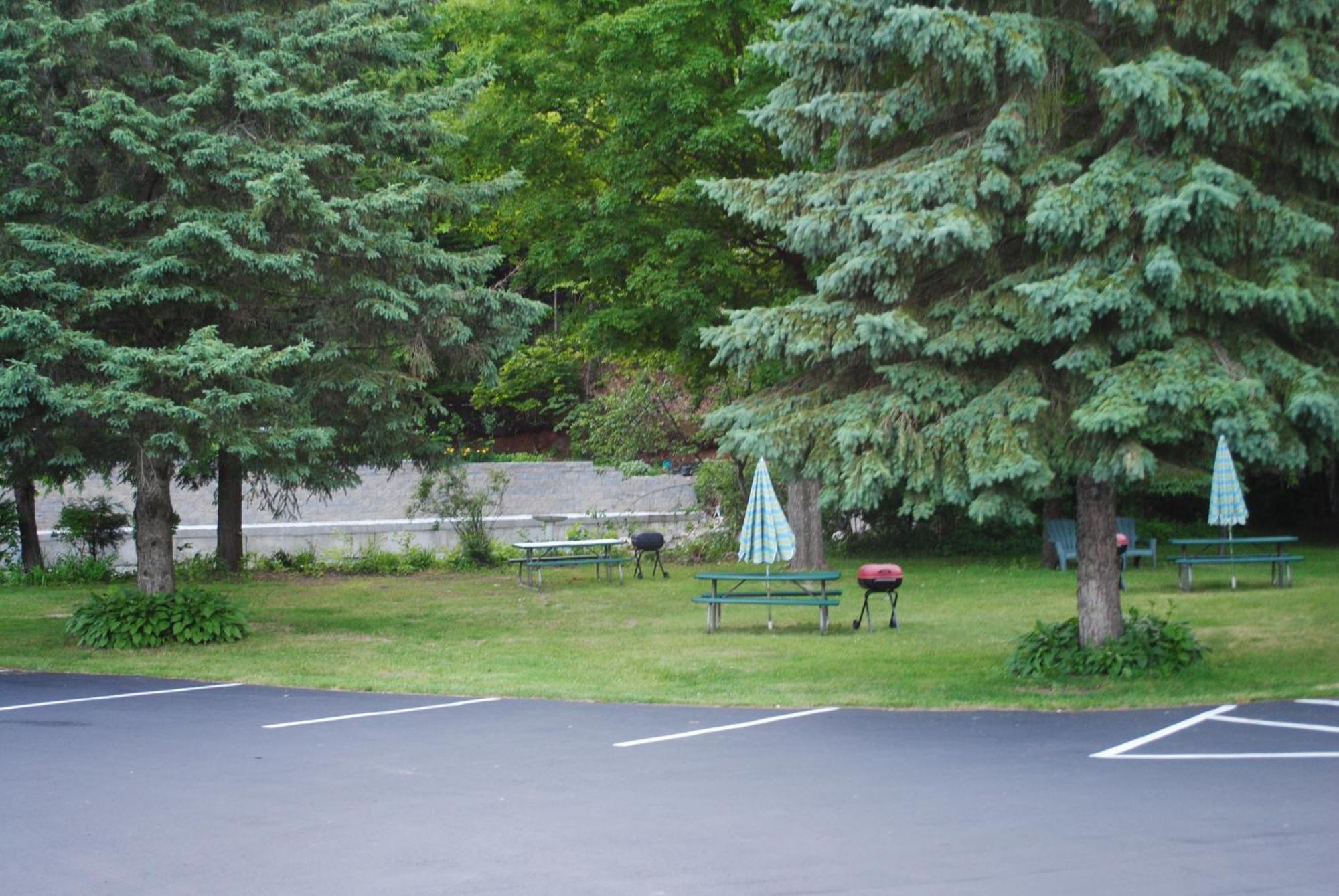 Fran Cove Motel Лейк-Джордж Екстер'єр фото